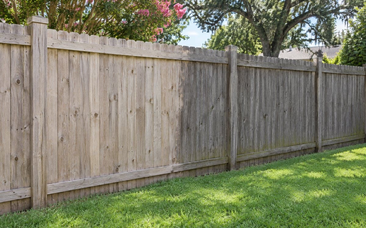 A tall wood privacy fence of weathered gray pickets along a back lawn, with a crape myrtle and live oak behind it and the grass trimmed flush at its base.