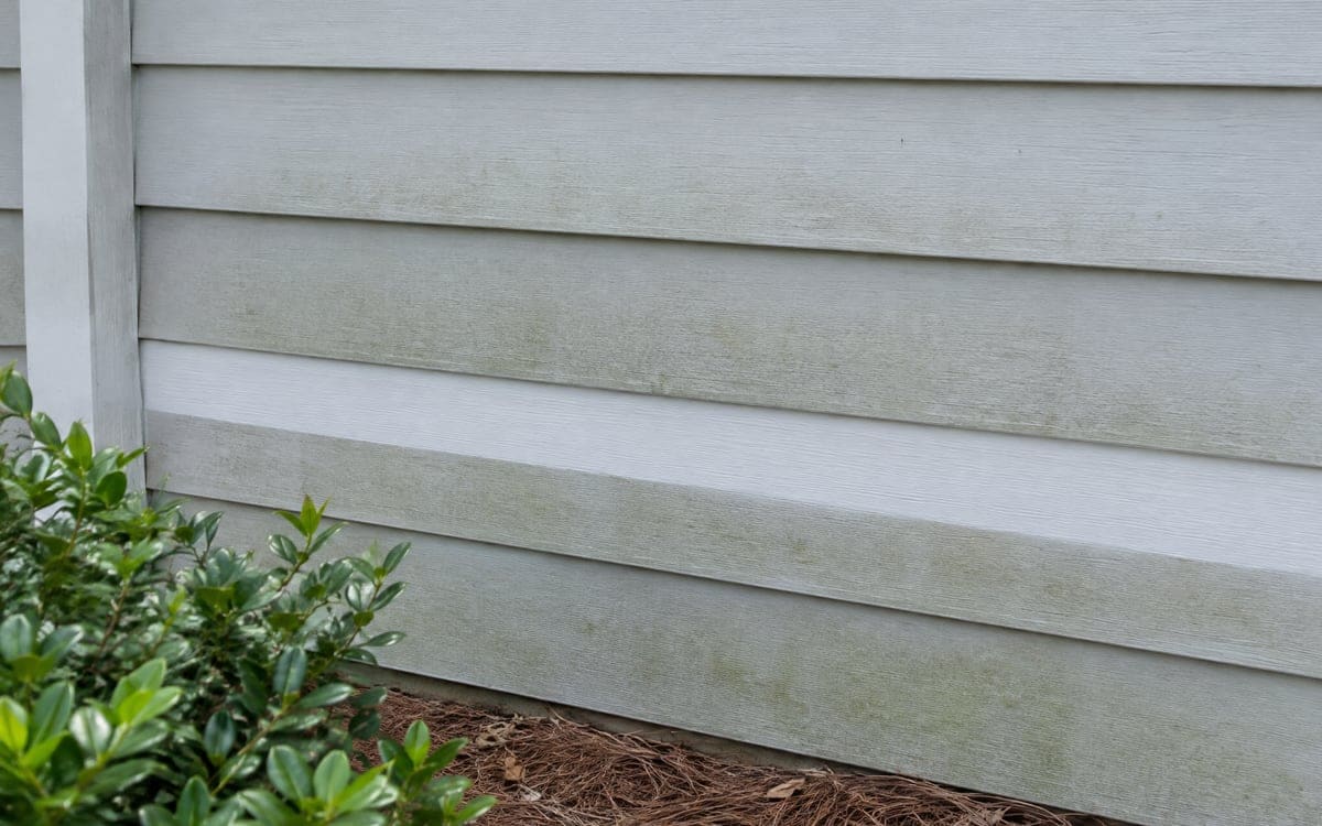 A close look at pale gray lap siding with a single bright-white stripe across the middle, where a test rinse pulled the gray-green film off two boards above a boxwood.